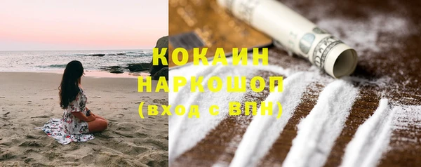 сатива Гусиноозёрск