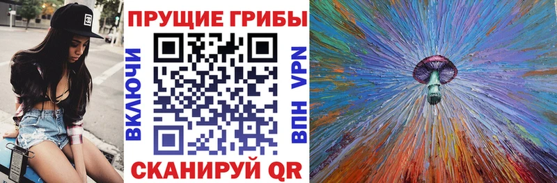 Купить закладки  Находка  Псилоцибиновые грибы Psilocybe 